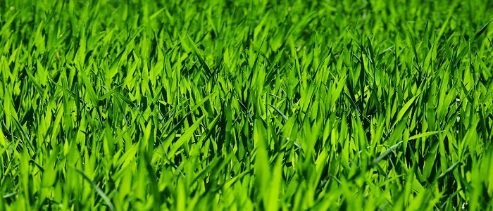 Atteffektiviseraochs5d9388bdece48