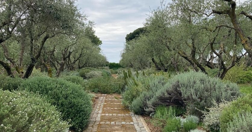The garden of Landriana💚
Belägen strax utanför den italienska huvudstaden Rom.
Läs mer om trädgården på www.gronatrender.se
Bild tagen av: Ilaria Degl’Innocenti
#garden#trädgård#trädgårdsinspiration#gardeninspiration#giardino#jardin#garten#flowers#love#potd#photooftheday#instagardens#gardensofinsta#gardengram#grönatrender#gardens#gardening #gardendesign #gardeners #photography #gardenlife#adventure#gardeninspo#gartengestaltung#trädgårdsinspo#trädgårdstider#trädgårdsdrömmar