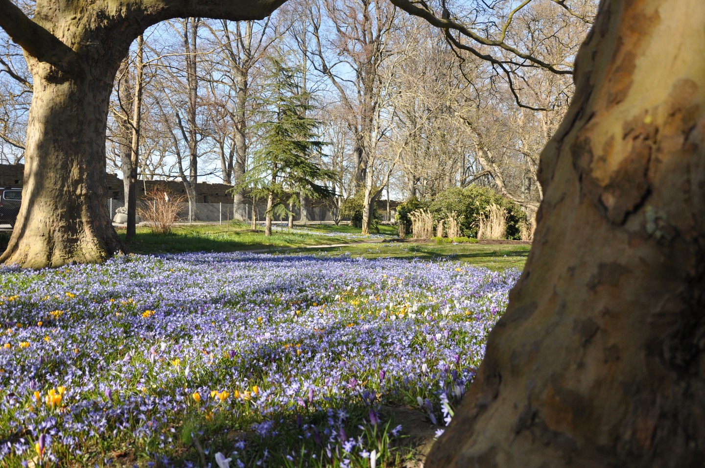 En vacker bild från Gotland!
#garden#trädgård#trädgårdsinspiration#gardeninspiration#giardino#jardin#garten#flowers#love#potd#photooftheday#instagardens#gardensofinsta#gardengram#grönatrender#gardens#gardening #gardendesign #gardeners #photography #gardenlife#adventure#gardeninspo#gartengestaltung#trädgårdsinspo#trädgårdstider#trädgårdsdrömmar