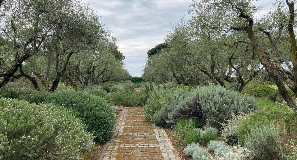 The Garden of Landriana