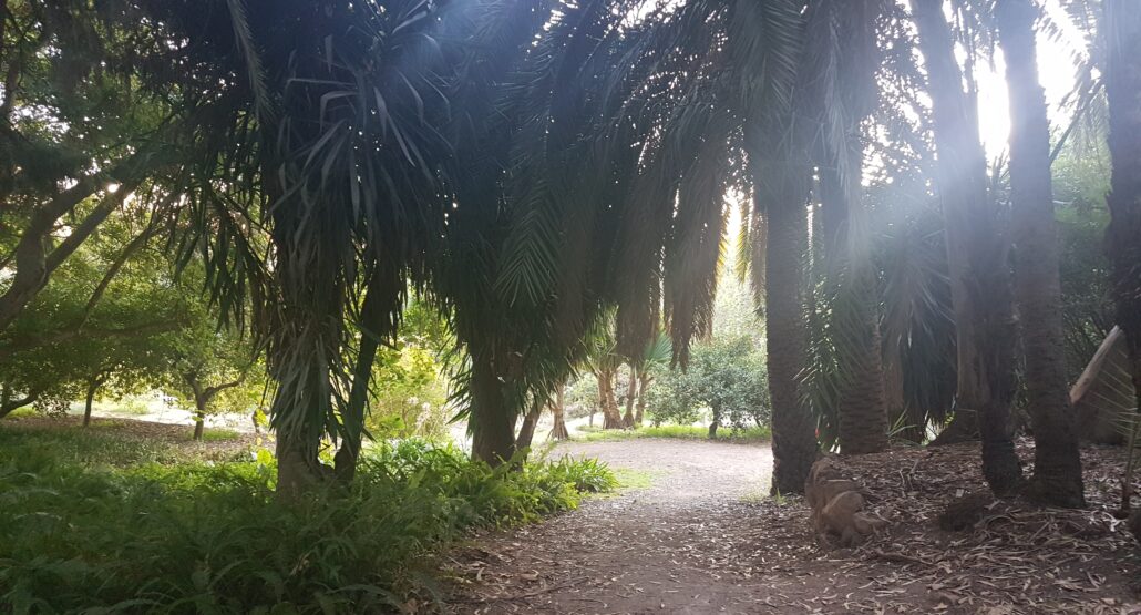 La Concepción