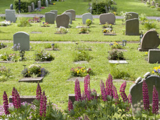 Kyrkogårdens upphandlingar