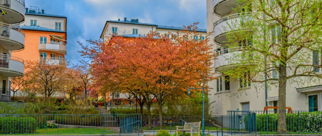 Gröna bostadsgårdar i fokus