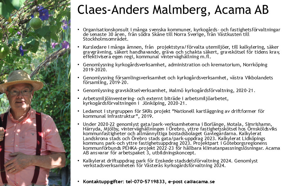 Claes-Anders - CV