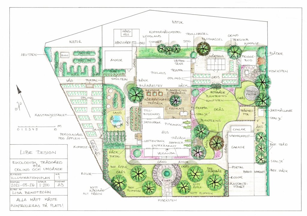 Illustrationsplan för trädgård med ätbara växter