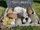 Den personliga graven