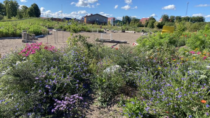 Omtag - andra sätt att bygga park