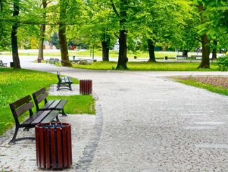 Effektivisera gata-park driften