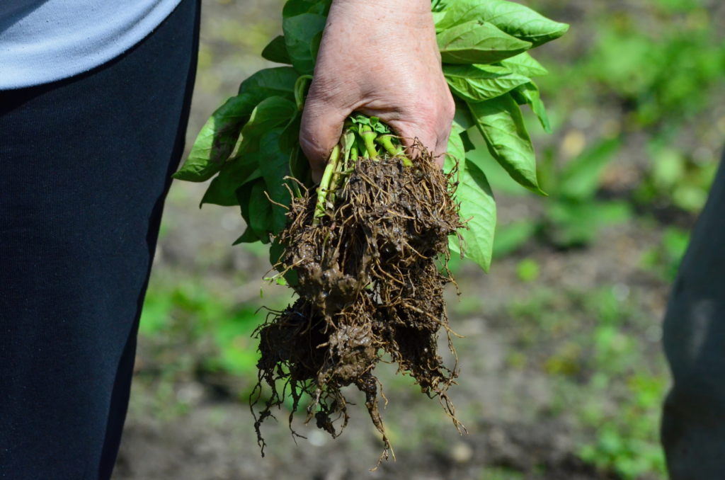 Skapa säkra och inspirerande utemiljöer