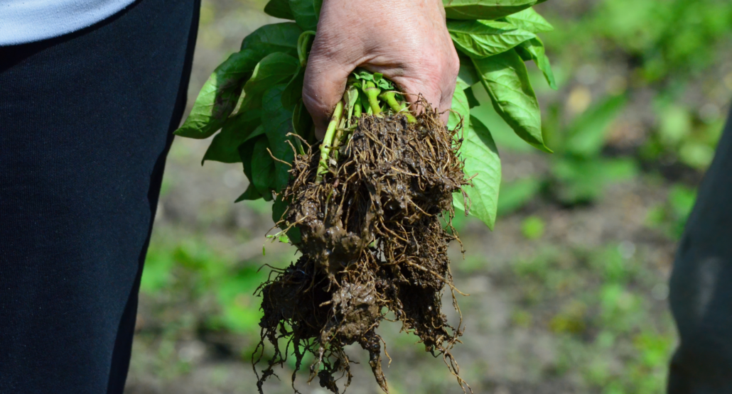 Skapa säkra och inspirerande utemiljöer