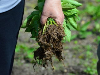 Skapa säkra och inspirerande utemiljöer
