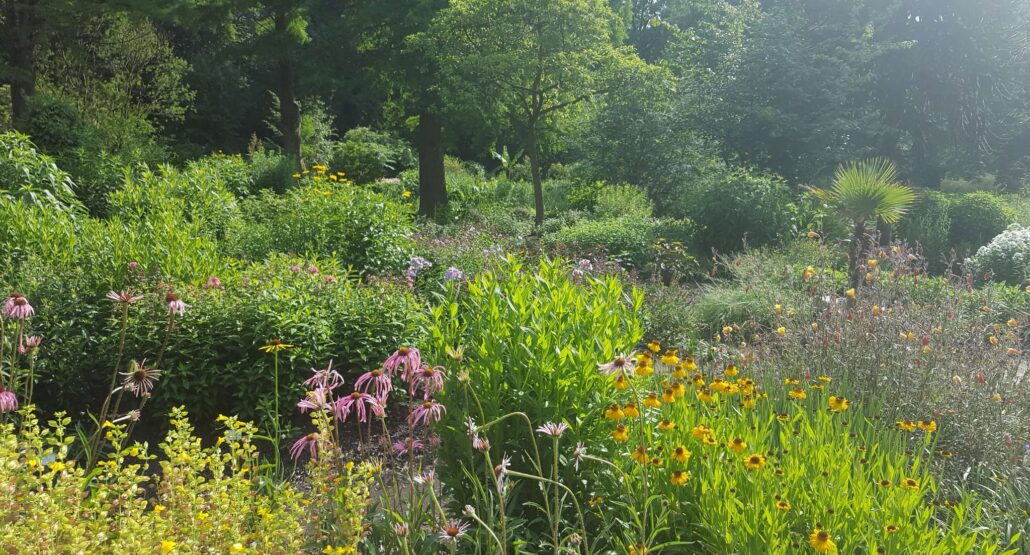 Grundläggande växtkunskap