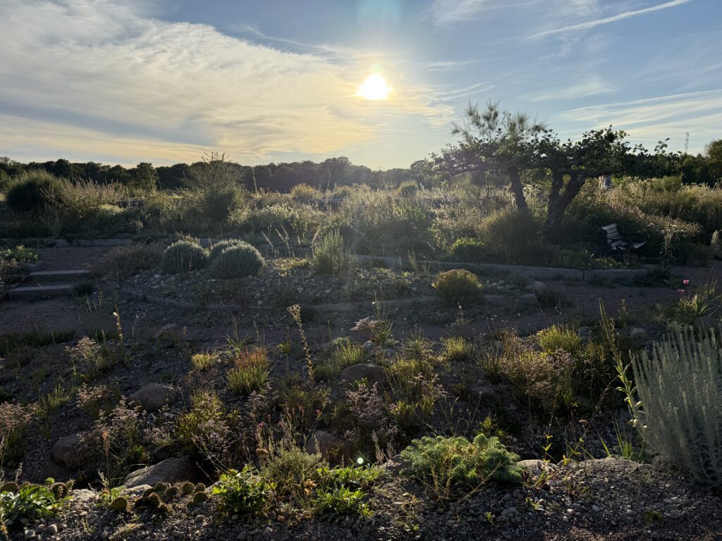 Med inspiration från naturen