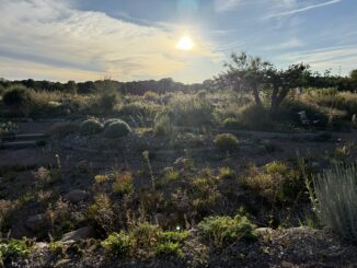Med inspiration från naturen