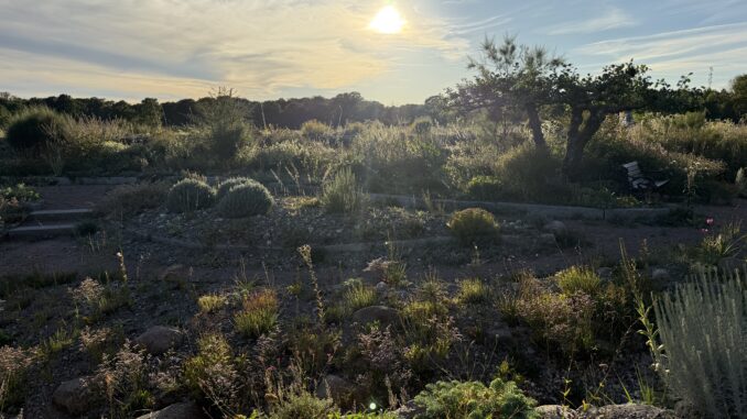 Med inspiration från naturen