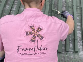 Idéträdgårdar: Träd Z