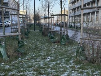 Underhållsskuld - En dyr historia